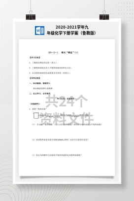 2020-2021学年九年级化学下册学案（鲁教版）