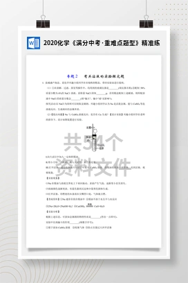 2020化学《满分中考·重难点题型》精准练