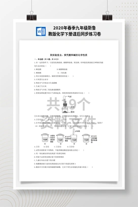 2020年春季九年级新鲁教版化学下册课后同步练习卷