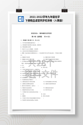 2021-2022学年九年级化学下册精品课堂同步检测卷（人教版）