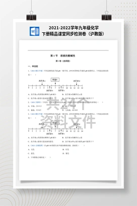 2021-2022学年九年级化学下册精品课堂同步检测卷（沪教版）