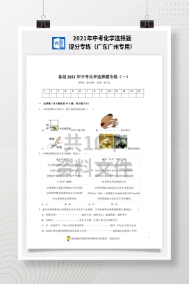 2021年中考化学选择题提分专练（广东广州专用）