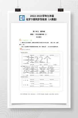 2022-2023学年九年级化学下册同步导练测（人教版）