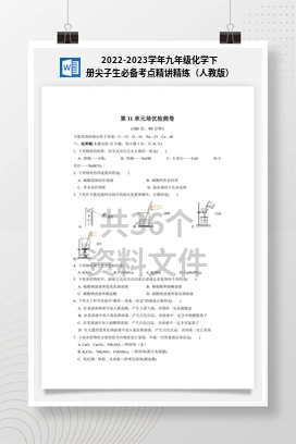 2022-2023学年九年级化学下册尖子生必备考点精讲精练（人教版）