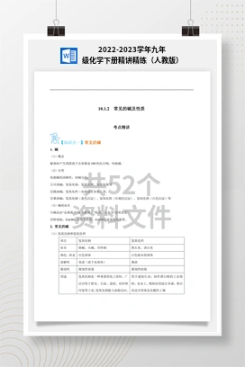 2022-2023学年九年级化学下册精讲精练（人教版）