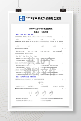 2022年中考化学必练题型聚焦