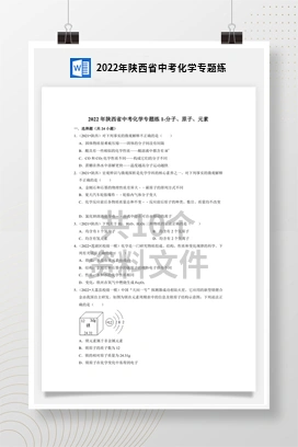 2022年陕西省中考化学专题练