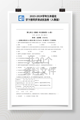 2023-2024学年九年级化学下册同步测试优选卷（人教版）
