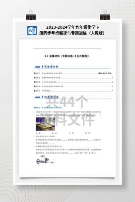 2023-2024学年九年级化学下册同步考点解读与专题训练（人教版）