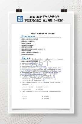 2023-2024学年九年级化学下册重难点题型·高分突破（人教版）