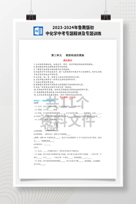 2023-2024年鲁教版初中化学中考专题精讲及专题训练