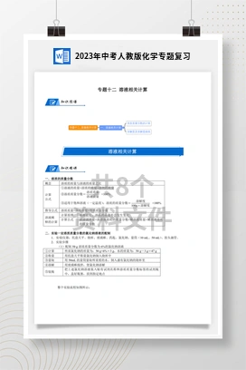 2023年中考人教版化学专题复习