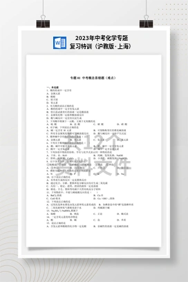 2023年中考化学专题复习特训（沪教版·上海）