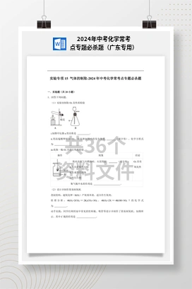 2024年中考化学常考点专题必杀题（广东专用）