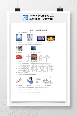 2024年中考化学常考点必杀300题（安徽专用）