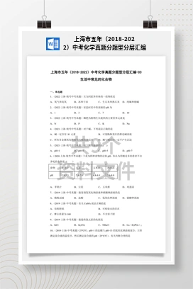 上海市五年（2018-2022）中考化学真题分题型分层汇编