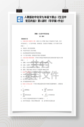 《生活中常见的盐》第1课时（导学案+作业） 人教版初中化学九年级下册