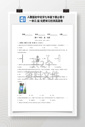 第十一单元 盐 化肥单元检测真题卷 人教版初中化学九年级下册