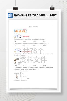 备战2024年中考化学考点微专题（广东专用）
