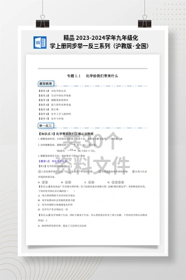 精品 2023-2024学年九年级化学上册同步举一反三系列（沪教版·全国）