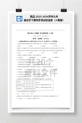 精品 2023-2024学年九年级化学下册同步测试优选卷（人教版）