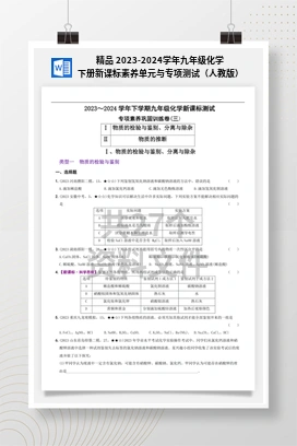 精品 2023-2024学年九年级化学下册新课标素养单元与专项测试（人教版）