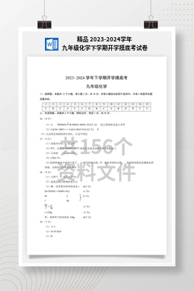 精品 2023-2024学年九年级化学下学期开学摸底考试卷