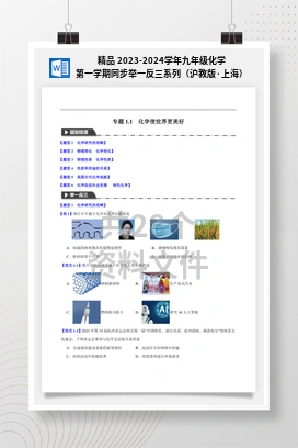 精品 2023-2024学年九年级化学第一学期同步举一反三系列（沪教版·上海）