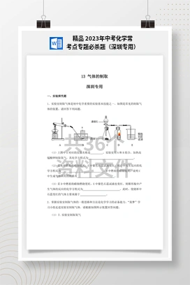 精品 2023年中考化学常考点专题必杀题（深圳专用）