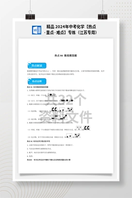 精品 2024年中考化学【热点·重点·难点】专练（江苏专用）