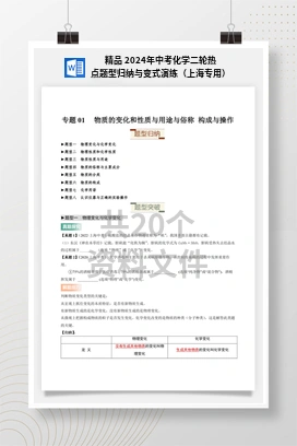 精品 2024年中考化学二轮热点题型归纳与变式演练（上海专用）