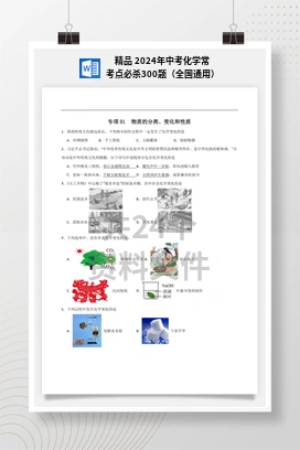 精品 2024年中考化学常考点必杀300题（全国通用）