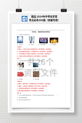 精品 2024年中考化学常考点必杀300题（安徽专用）