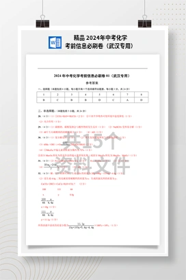 精品 2024年中考化学考前信息必刷卷（武汉专用）
