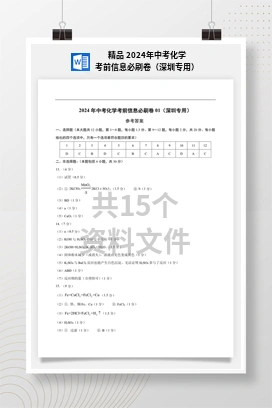 精品 2024年中考化学考前信息必刷卷（深圳专用）