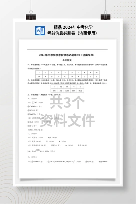 精品 2024年中考化学考前信息必刷卷（济南专用）