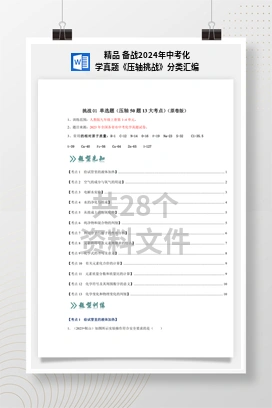 精品 备战2024年中考化学真题《压轴挑战》分类汇编