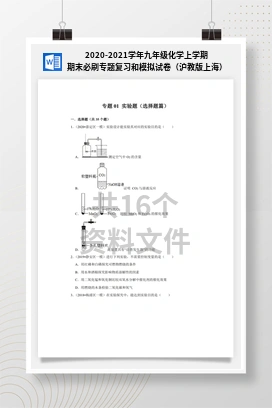 2020-2021学年九年级化学上学期期末必刷专题复习和模拟试卷（沪教版上海）