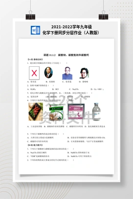 2021-2022学年九年级化学下册同步分层作业（人教版）