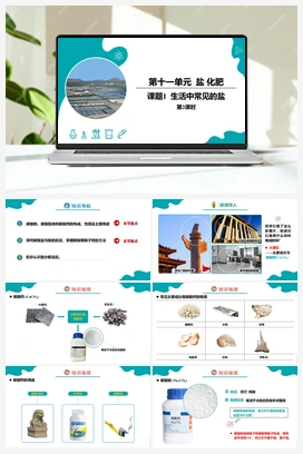 11.1 生活中常见的盐（共3课时）【课件+作业】 人教版初中化学九年级下册