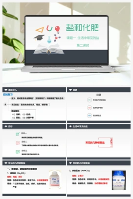11.1 生活中常见的盐（第2课时）（课件+练习） 人教版初中化学九年级下册