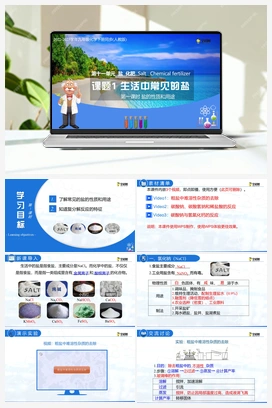 11.1 生活中常见的盐（课件+练习） 人教版初中化学九年级下册