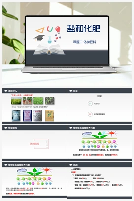 11.2 化学肥料（课件+练习） 人教版初中化学九年级下册
