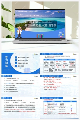 第11单元 盐 化肥（课件+练习） 人教版初中化学九年级下册