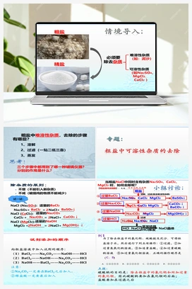 第十一单元 专题-粗盐中可溶性杂质的去除（课件） 人教版初中化学九年级下册