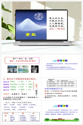 第十一单元 课题1 生活中常见的盐 （第1课时）（课件） 人教版初中化学九年级下册