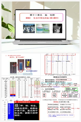第十一单元 课题1 生活中常见的盐 （第3课时）（课件） 人教版初中化学九年级下册