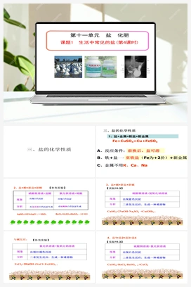 第十一单元 课题1 生活中常见的盐 （第4课时）（课件） 人教版初中化学九年级下册