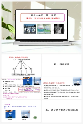 第十一单元 课题1 生活中常见的盐 （第5课时）（课件） 人教版初中化学九年级下册