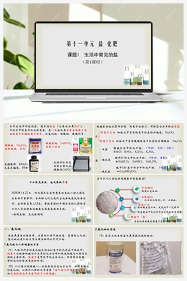 第十一单元 课题1 生活中常见的盐（课件+视频） 人教版初中化学九年级下册